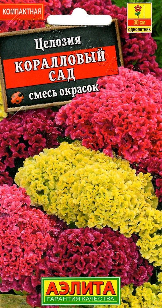 Семена Целозия гребенчатая Коралловый сад смесь окрасок, 0,2 г - фото