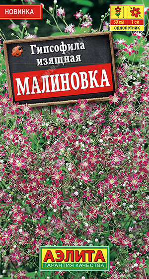 Семена Гипсофила изящная Малиновка, 0,05 г - фото