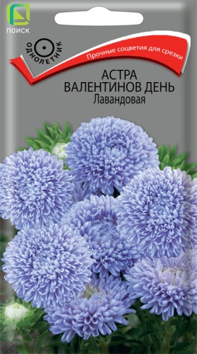 Семена Астра Валентинов день Лавандовая, 0,2 г - фото