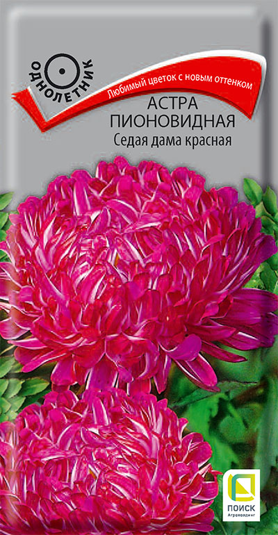 Семена Астра пионовидная Седая Дама красная, 0,3 г - фото