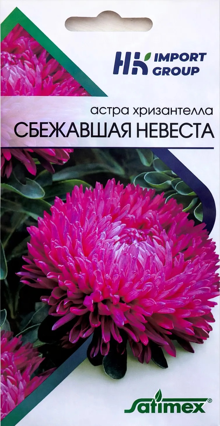 Семена Астра Хризантелла Сбежавшая невеста, 30 шт Satimex - фото