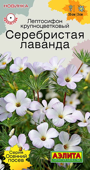 Семена Лептосифон Серебристая лаванда, 0,05 г - фото