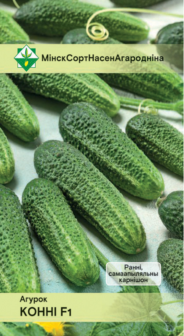 Семена Огурец Конни F1, 10 шт МинскСортСемОвощ - фото, картинка Семена Огурец Конни F1, 10 шт МинскСортСемОвощ - фото
