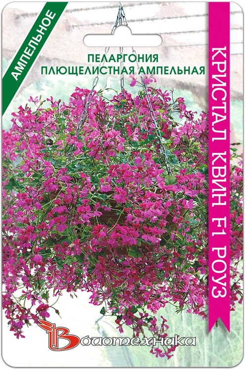 Семена Пеларгония плющелистная ампельная Кристал Квин F1 Роуз, 5 шт - фото