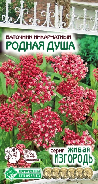 Семена Ваточник инкарнатный Родная Душа, 0,1 г - фото