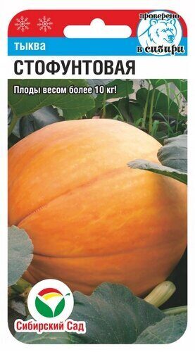 Семена Тыква Стофунтовая, 5 шт - фото