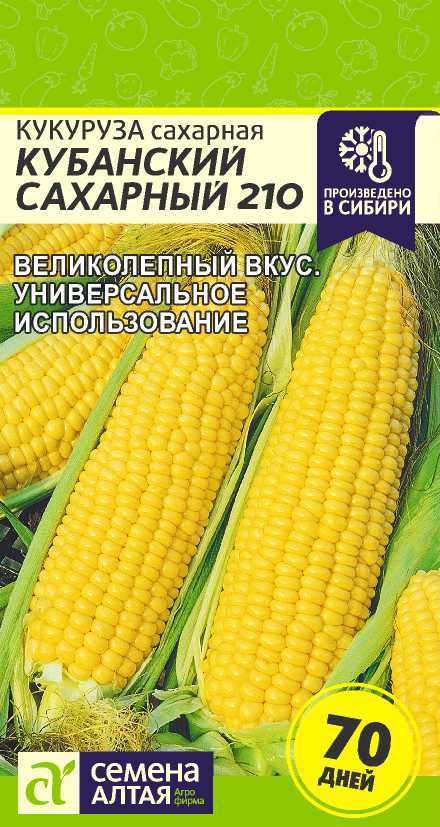 Семена Кукуруза Кубанский Сахарный 210, 5 г - фото