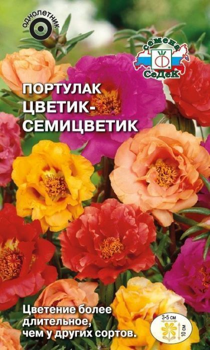 Семена Портулак Цветик-семицветик, 0,1 г - фото