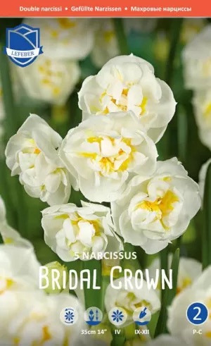 Нарциссы Bridal Crown (Lefeber), 1 шт - фото