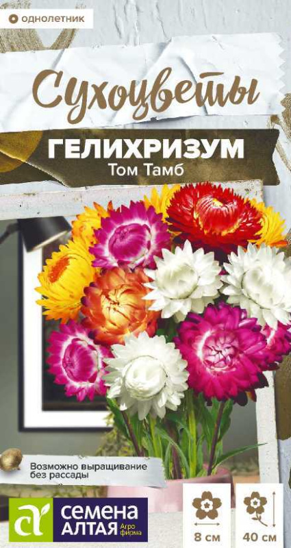 Семена Гелихризум Том Тамб, 0,1 г - фото