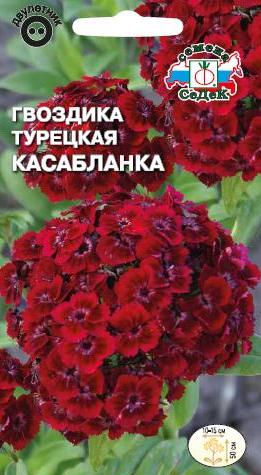 Семена Гвоздика турецкая Касабланка, 0,3 г - фото