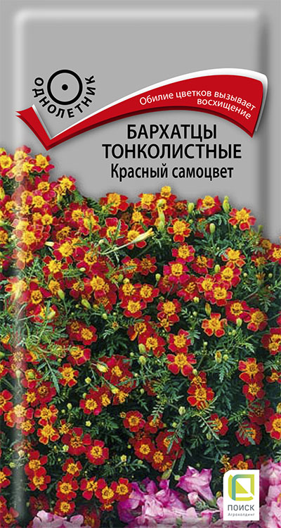 Семена Бархатцы тонколистные Красный самоцвет, 0,1 г - фото