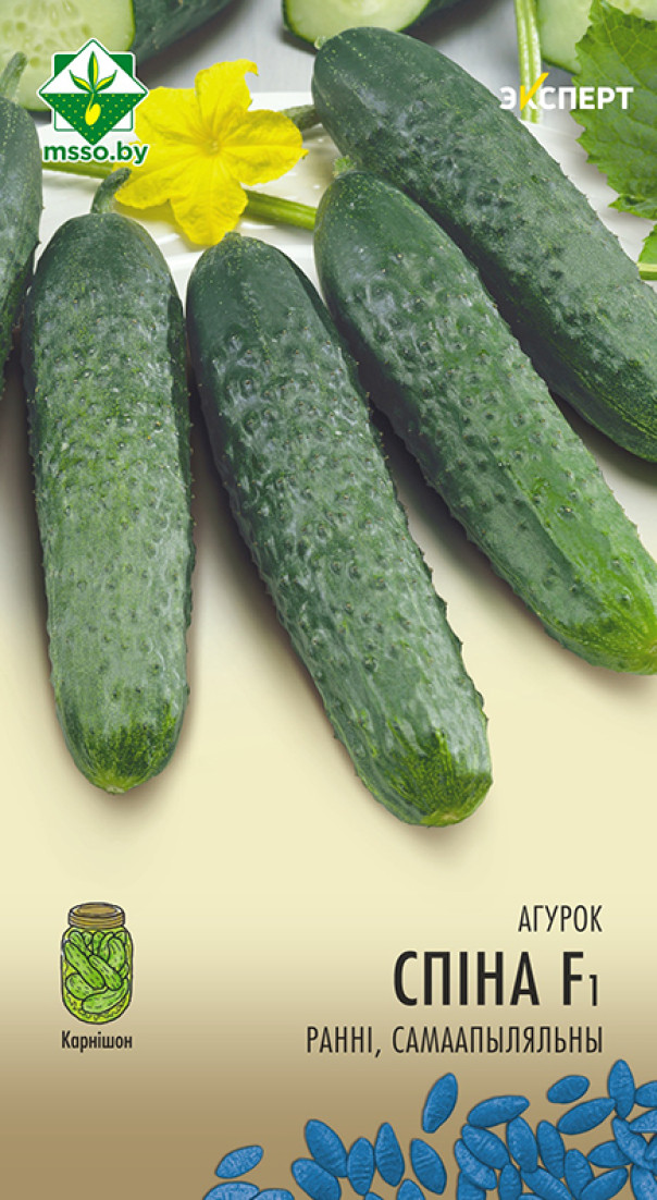 Семена Огурец Спино F1, 7 шт (Эксперт) - фото
