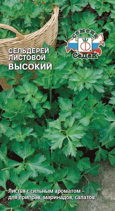 Семена Сельдерей Высокий (листовой), 0,5 г - фото
