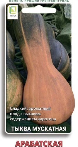 Семена Тыква мускатная Арабатская, 10 шт - фото