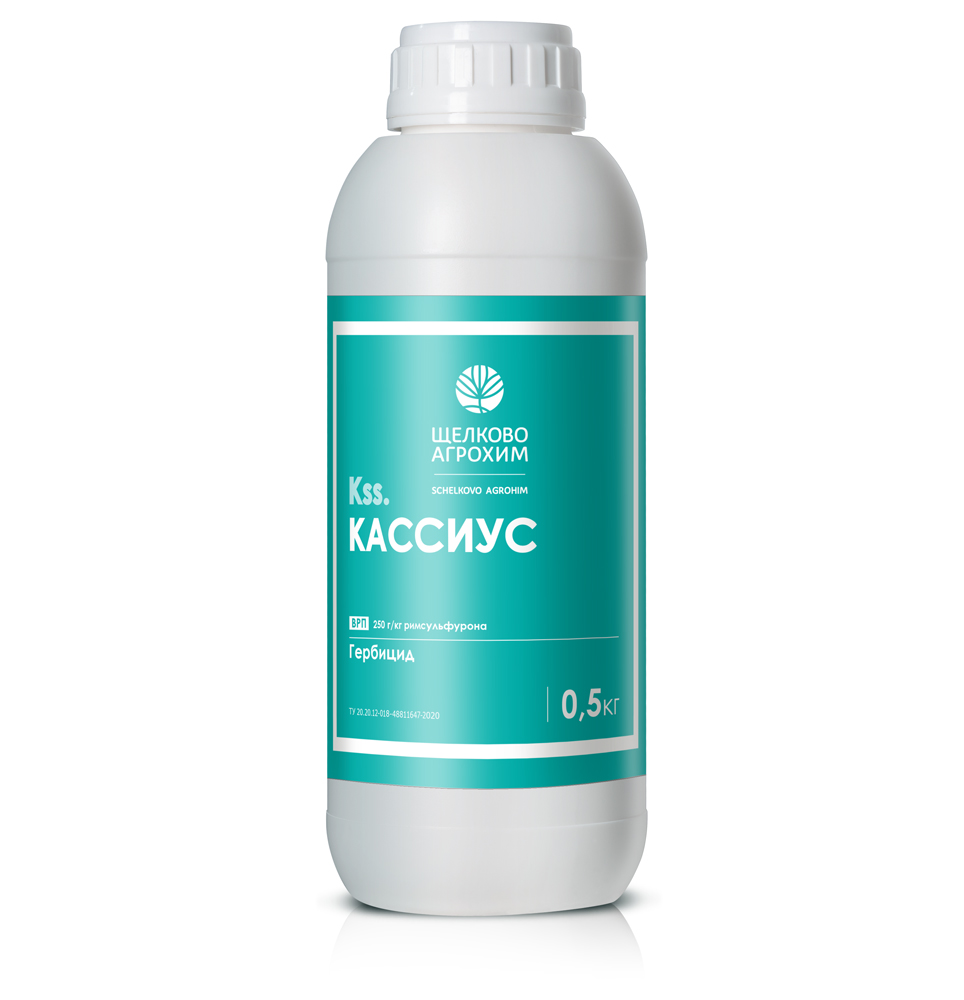 Кассиус, 0,5 кг - фото