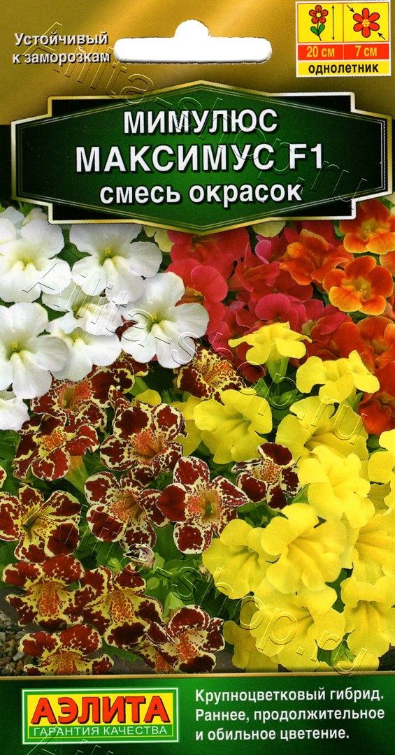 Семена Мимулюс гибридный Максимус F1 смесь окрасок, 10 шт - фото