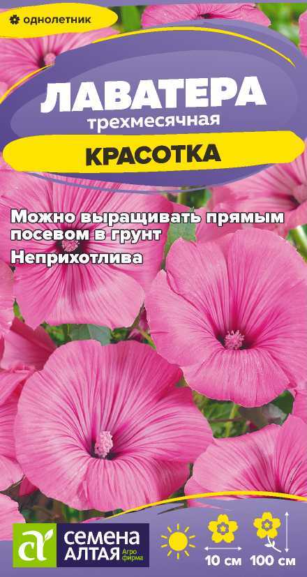 Семена Лаватера Красотка, 0,2 г - фото