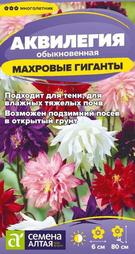 Семена Аквилегия Махровые Гиганты смесь, 0,05 г - фото