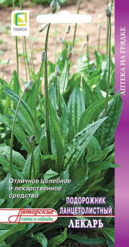 Семена Подорожник ланцетолистный Лекарь, 0,1 г - фото