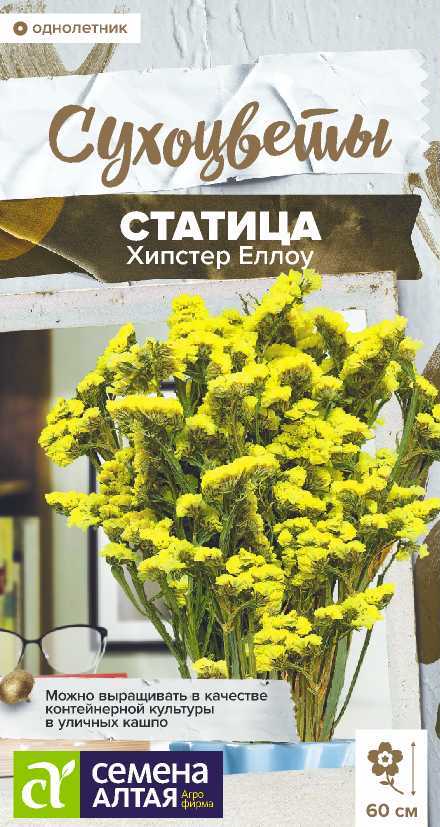 Семена Статица Хипстер Еллоу, 5 шт - фото