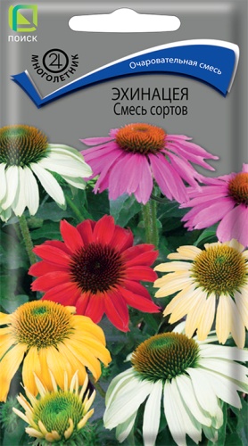 Семена Эхинацея смесь сортов, 0,1 г Поиск - фото