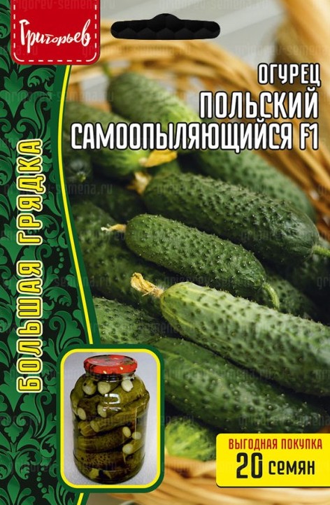 Семена Огурец Польский Самоопыляющийся F1, 20 шт - фото