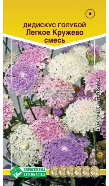Семена Дидискус голубой Легкое Кружево смесь, 10 шт - фото