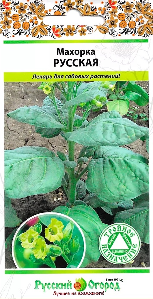 Семена Махорка Русская, 0,01 г - фото