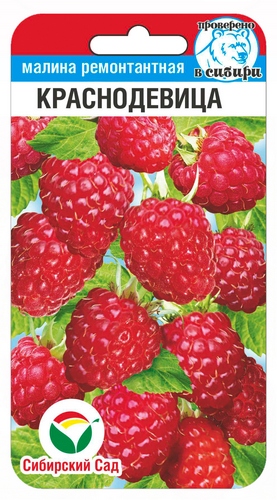 Семена Малина Краснодевица, 10 шт - фото