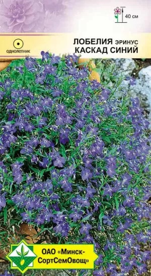Семена Лобелия эринус Каскад синий, 0,05 г - фото
