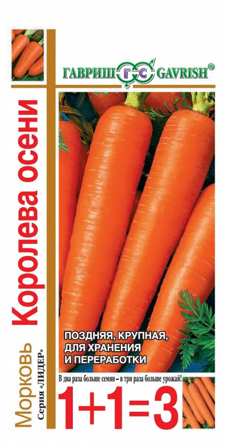 Семена Морковь Королева Осени, 4 г Гавриш - фото