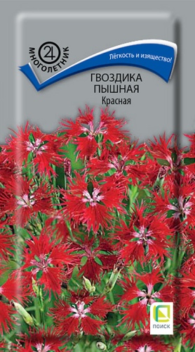 Семена Гвоздика пышная Красная, 0,1 г - фото