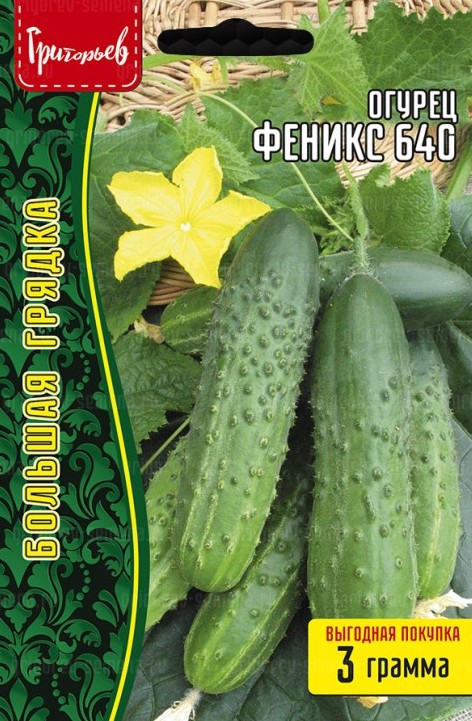Семена Огурец Феникс 640, 3 г - фото