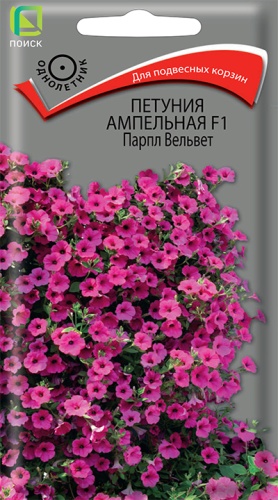 Семена Петуния ампельная F1 Парпл Вельвет, 5 шт - фото