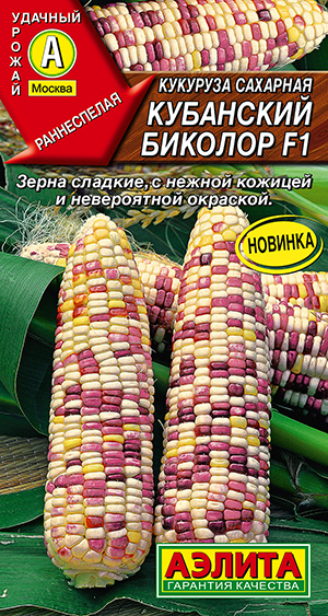 Семена Кукуруза сахарная Кубанский биколор F1, 5 шт - фото