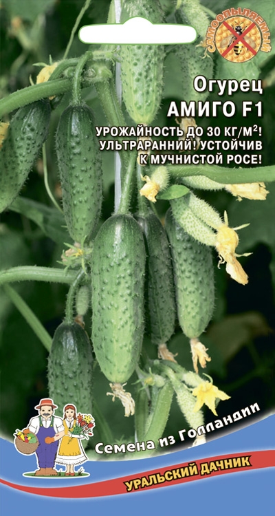 Семена Огурец Амиго F1, 8 шт - фото