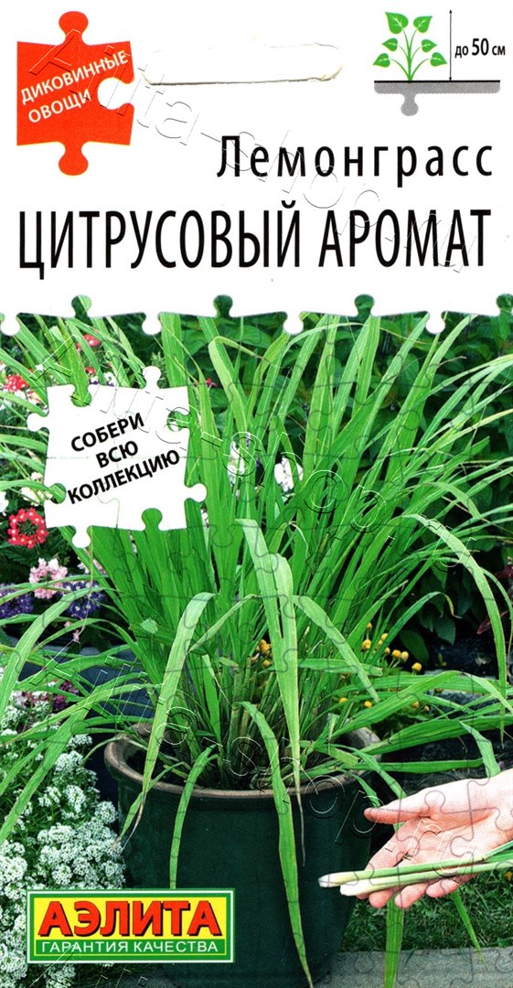 Семена Лемонграсс Цитрусовый аромат, 0,03 г - фото