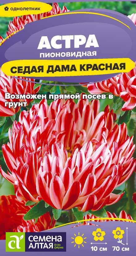 Семена Астра Седая Дама красная, 0,1 г - фото