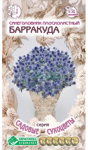 Семена Синеголовник плосколистный Барракуда, 0,1 г - фото