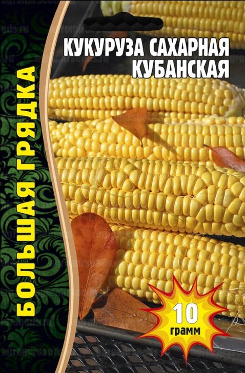 Семена Кукуруза Кубанская сахарная, 10 г - фото