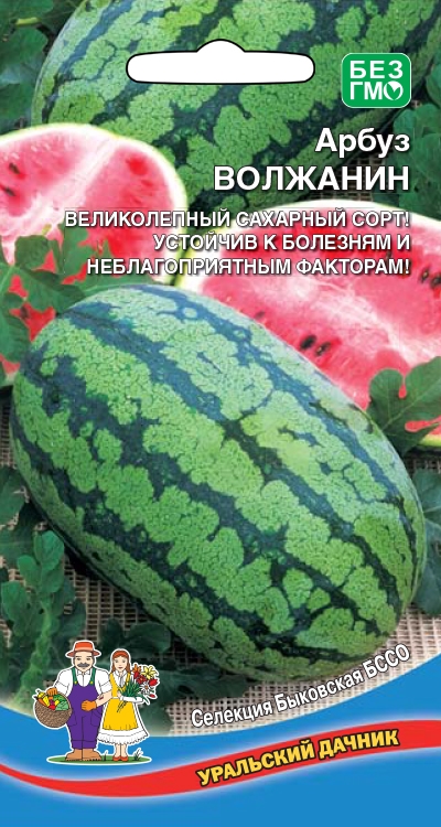 Семена Арбуз Волжанин, 8 шт УД - фото
