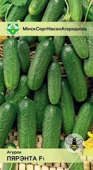 Семена Огурец Перента F1, 0,6 г - фото