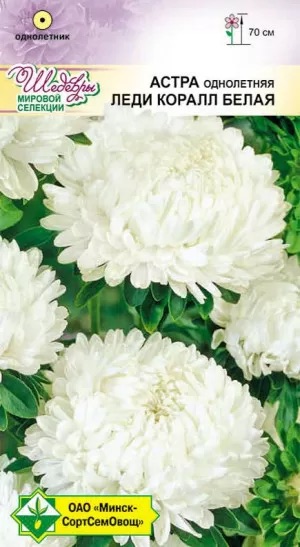 Семена Астра Леди Коралл Белая, 0,1 г - фото