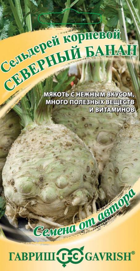 Семена Сельдерей корневой Северный банан, 0,3 г - фото