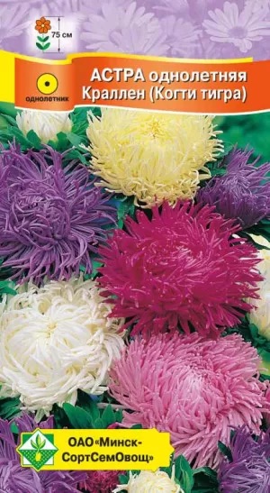 Семена Астра Краллен (Когти тигра) смесь, 0,3 г - фото