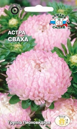 Семена Астра Сваха, 0,2 г - фото