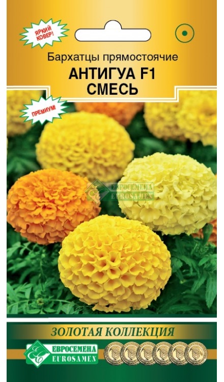 Семена Бархатцы прямостоячие Антигуа cмесь F1, 10 шт - фото