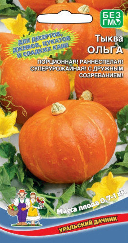 Семена Тыква Ольга, 6 шт - фото