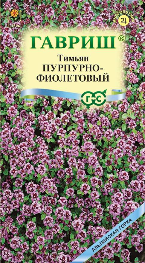 Семена Тимьян пурпурно-фиолетовый, 0,03 г - фото